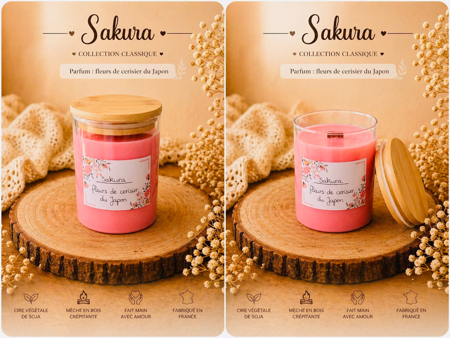 Sakura - Fleur de Cerisier