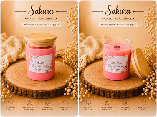 Sakura - Fleur de Cerisier
